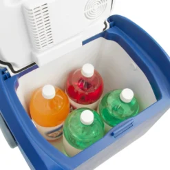 Wagan® 6224 - 12V DC Personal Fridge With Warmer -Magma Store 6224 9 scaled