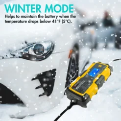 Wagan® 7403 - 6 V/12 V Intelligent Fully Automatic Battery Charger And Maintainer -Magma Store 7403 16