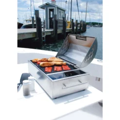 Kenyon Grills® - Floridian™ Portable Electric Grill -Magma Store b70082 18 scaled
