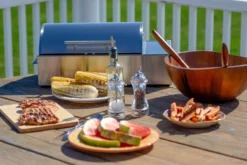 Kenyon Grills® - Floridian™ Portable Electric Grill -Magma Store b70082 19 scaled